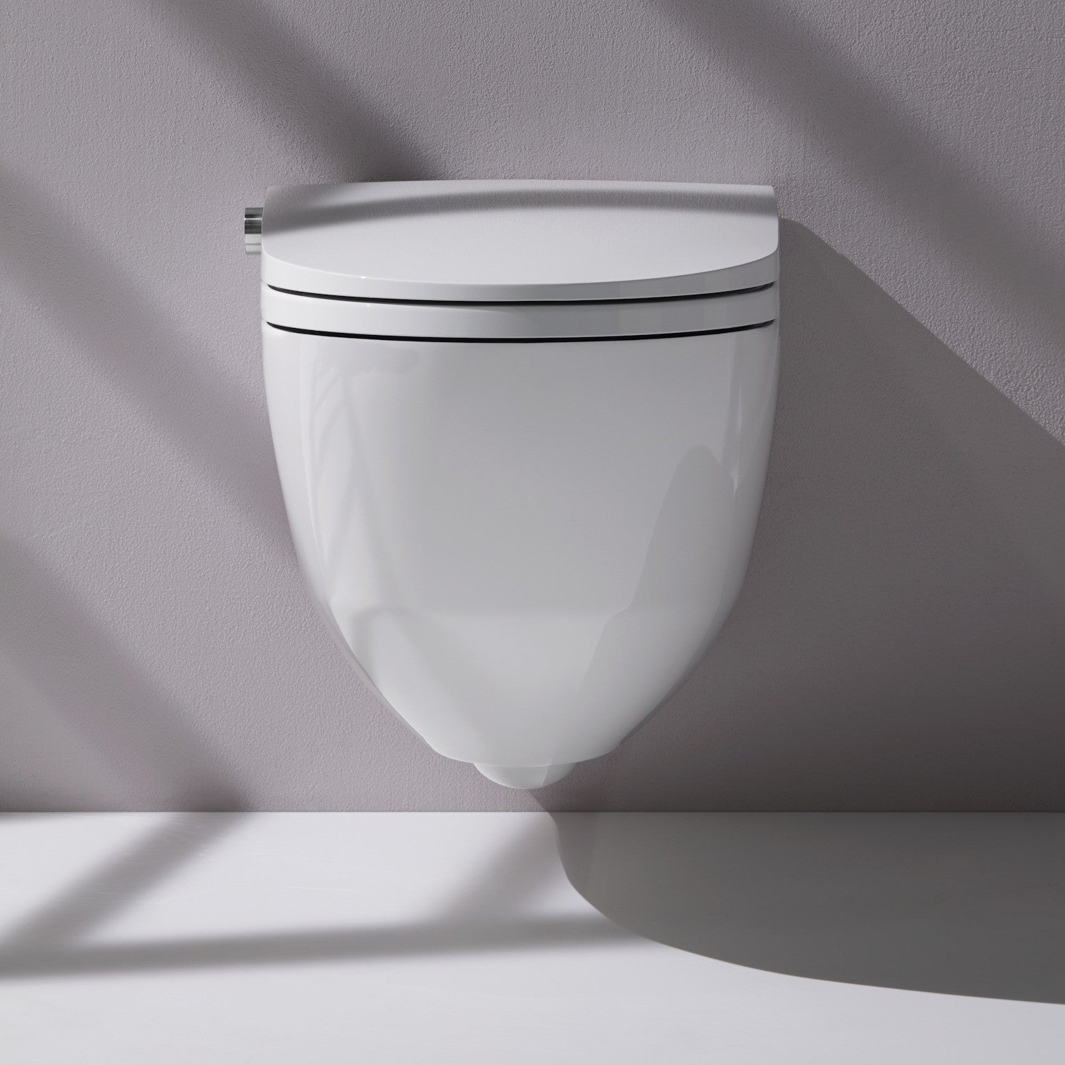 Laufen Cleanet Riva Shower WC
