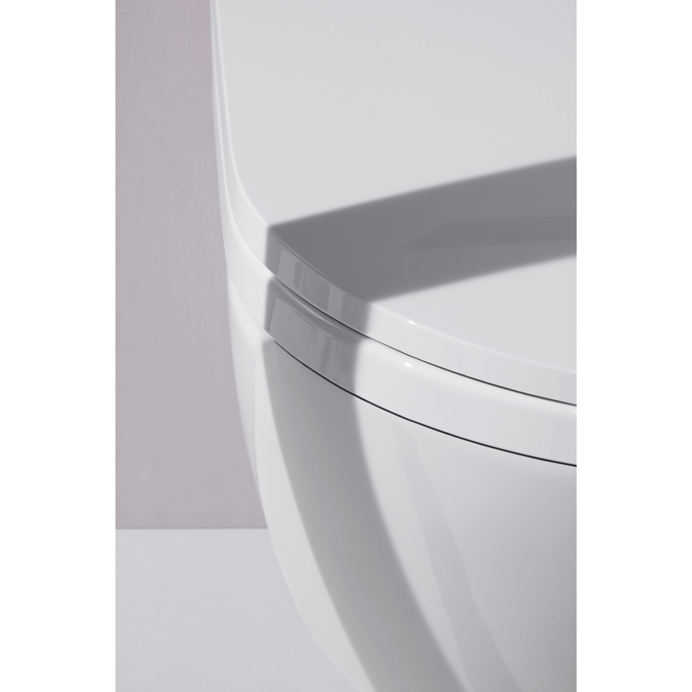 Laufen Cleanet Riva Shower WC