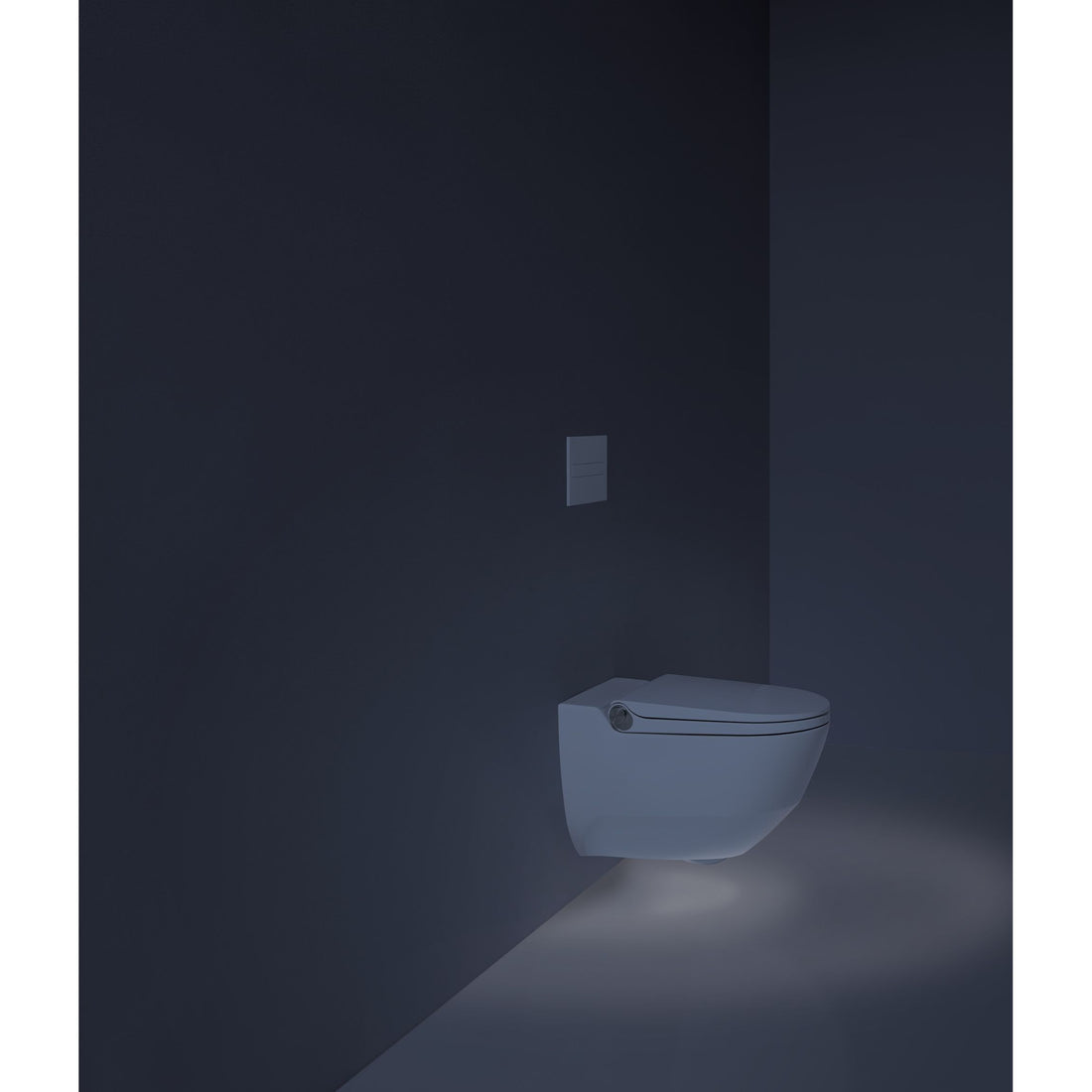 Laufen Cleanet Riva Shower WC