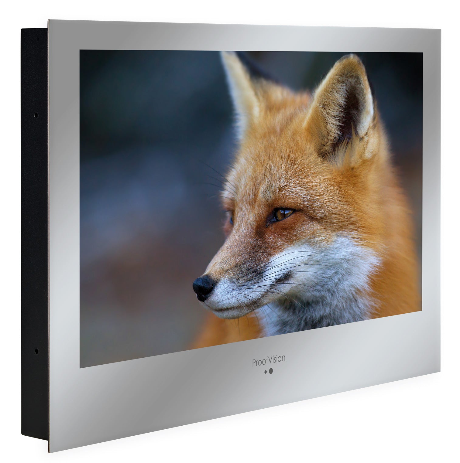 ProofVision 19inch Premium Bathroom Smart TV