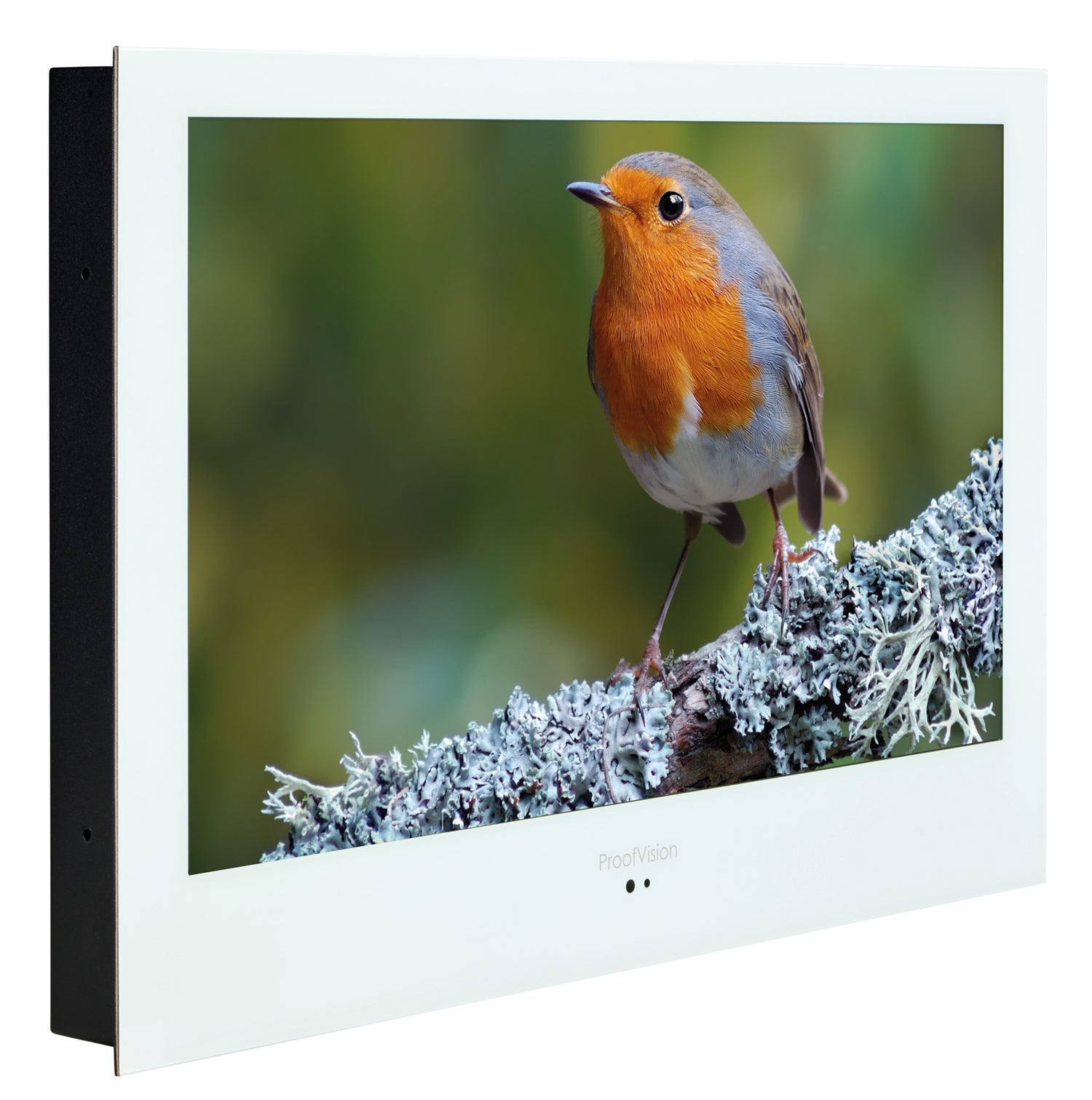 ProofVision 19inch Premium Bathroom Smart TV