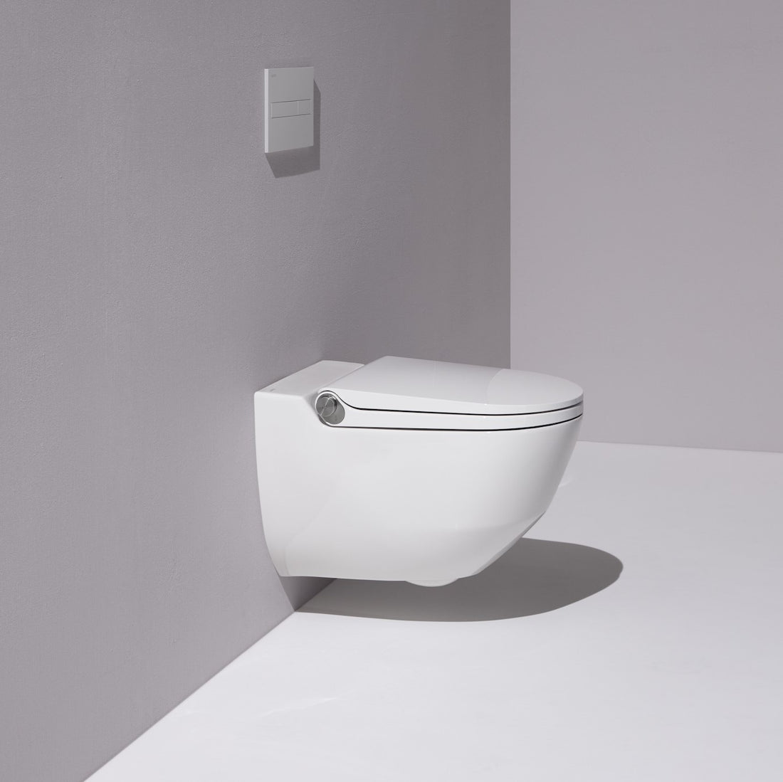 Laufen Cleanet Riva Shower WC