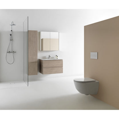 Laufen Pro Wall Hung WC